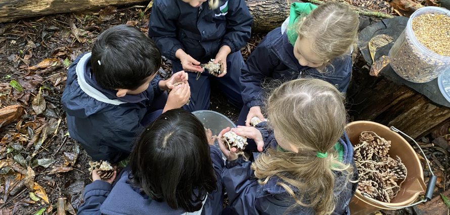 Book a Forest School Tour at Teesside High School