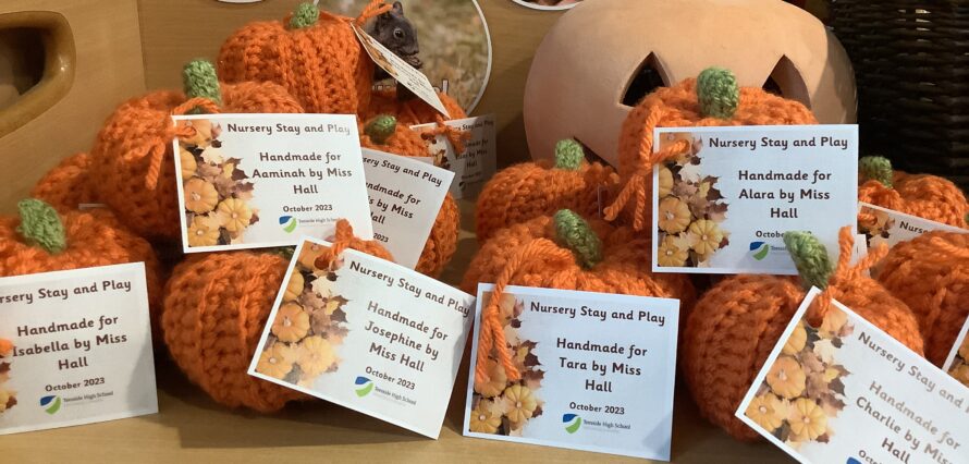 Pumpkins designed for Stay and Play