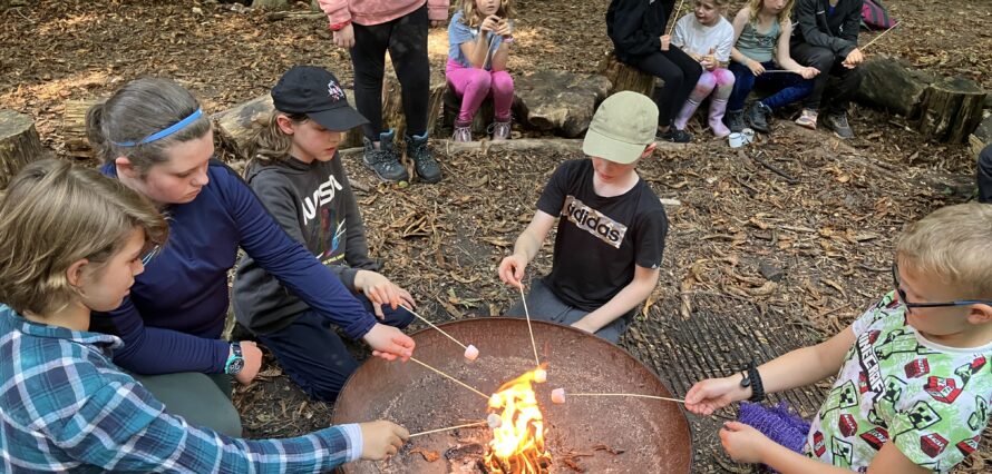 Forest Adventure Holiday Camp 2025